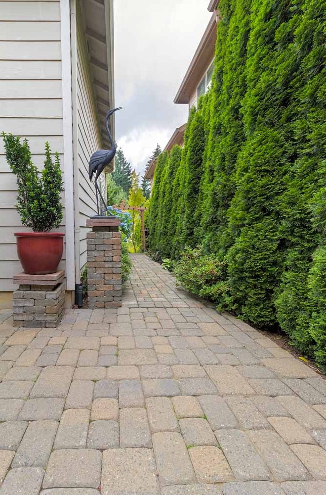 Garden Backyard Patio and Brick Paver Path with Potted Plant Garden Decor Column and Evergreen Trees Landscaping