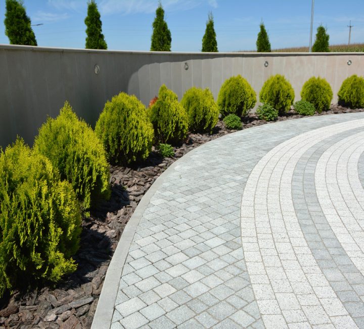 Concrete paver installed on a spacious area, lined with plants